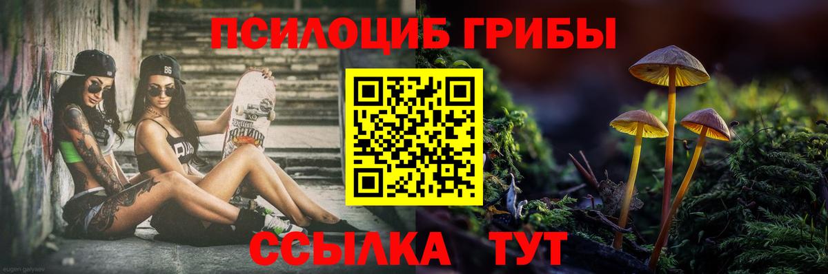 Псилоцибиновые грибы Psilocybe Вольск